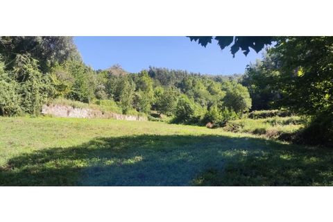 Helårsgrund i Chorense e Monte, Braga, Chorense e Monte - € 36.500 | Ref: 126971007-9 - foto 47
