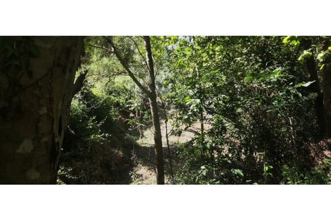 Helårsgrund i Chorense e Monte, Braga, Chorense e Monte - € 36.500 | Ref: 126971007-9 - foto 49