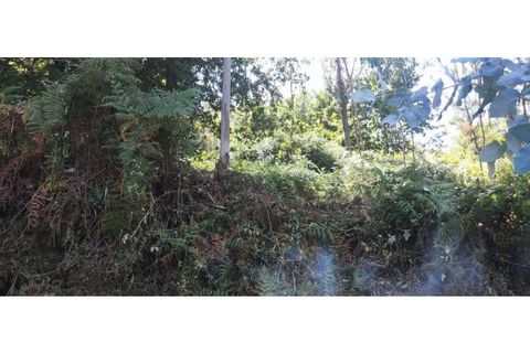 Helårsgrund i Chorense e Monte, Braga, Chorense e Monte - € 36.500 | Ref: 126971007-9 - foto 50