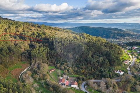 Helårsgrund i Vila Verde, Braga, Vila Verde - € 26.000 | Ref: 126971021-3 - foto 3