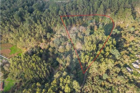 Helårsgrund i Vila Verde, Braga, Vila Verde - € 26.000 | Ref: 126971021-3 - foto 4