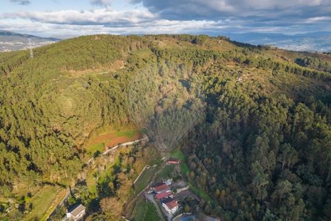 Helårsgrund i Vila Verde, Braga, Vila Verde - € 26.000 | Ref: 126971021-3 - foto 6