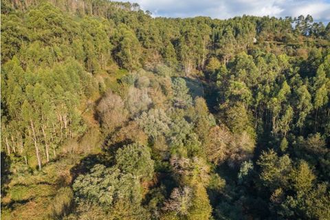 Helårsgrund i Vila Verde, Braga, Vila Verde - € 26.000 | Ref: 126971021-3 - foto 7