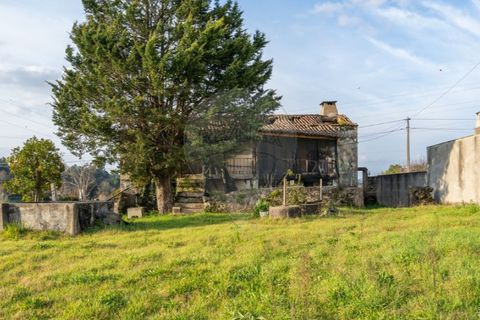 Villa i Braga, Braga, Braga - € 180.000 | Ref: 126971021-4 - foto 22