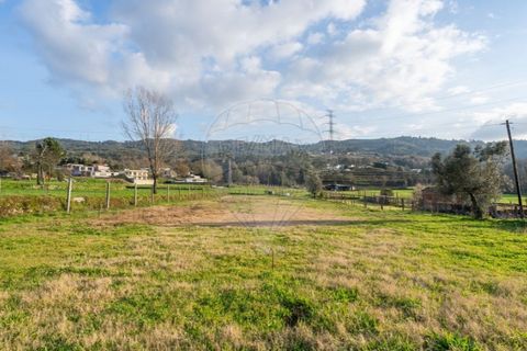 Villa i Braga, Braga, Braga - € 180.000 | Ref: 126971021-4 - foto 24