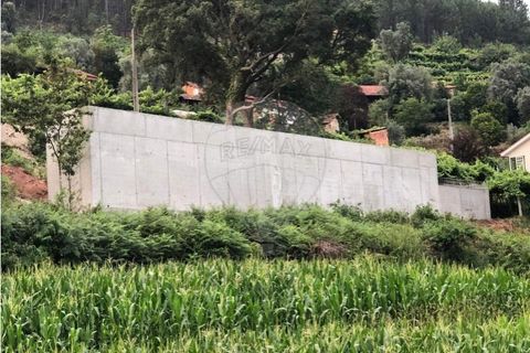 Helårsgrund i Ponte de Lima, Viana do Castelo, Ponte de Lima - € 75.000 | Ref: 123731039-18 - foto 2