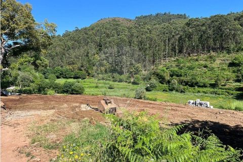 Helårsgrund i Ponte de Lima, Viana do Castelo, Ponte de Lima - € 75.000 | Ref: 123731039-18 - foto 4