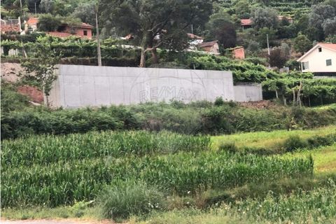 Helårsgrund i Ponte de Lima, Viana do Castelo, Ponte de Lima - € 75.000 | Ref: 123731039-18 - foto 7