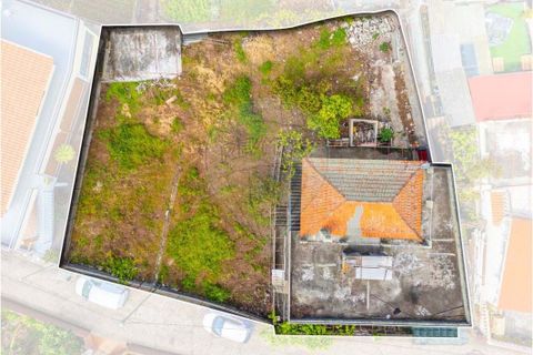 Villa i Calheta, Madeira, Calheta - € 450.000 | Ref: 123511098-145 - foto 24