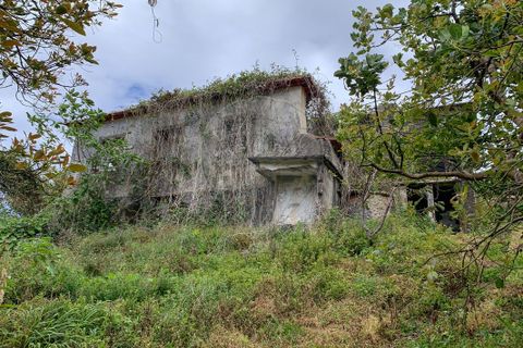 Villa i Santana, Madeira, Santana - € 300.000 | Ref: 123511145-40 - foto 11
