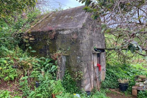 Villa i Santana, Madeira, Santana - € 300.000 | Ref: 123511145-40 - foto 12