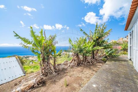 Villa i Calheta, Madeira, Calheta - € 347.000 | Ref: 123511098-141 - foto 15