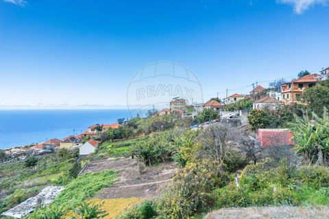 Villa i Calheta, Madeira, Calheta - € 347.000 | Ref: 123511098-141 - foto 28