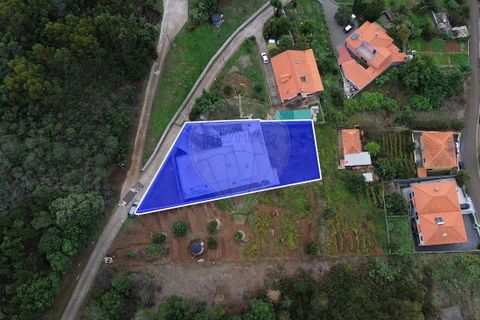 Villa i Ribeira Brava, Madeira, Ribeira Brava - € 1.500.000 | Ref: 123511145-37 - foto 5