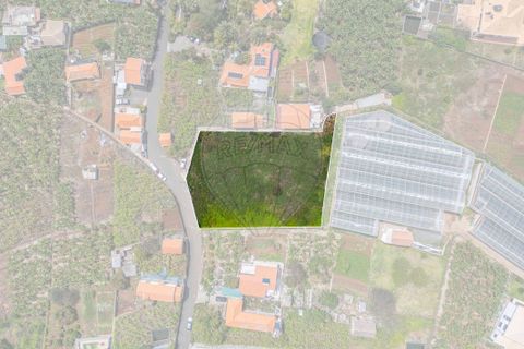 Helårsgrund i Calheta, Madeira, Calheta - € 449.000 | Ref: 123511098-130 - foto 2