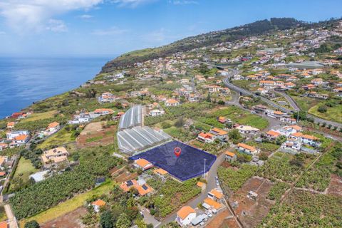 Helårsgrund i Calheta, Madeira, Calheta - € 449.000 | Ref: 123511098-130 - foto 7