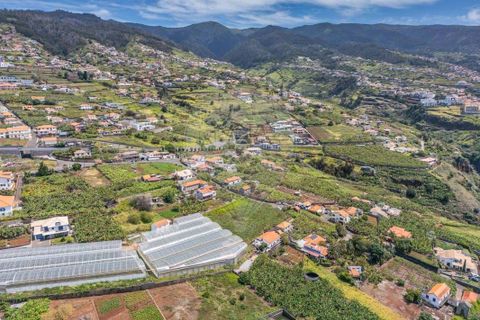 Helårsgrund i Calheta, Madeira, Calheta - € 449.000 | Ref: 123511098-130 - foto 8
