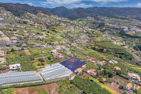 Helårsgrund i Calheta, Madeira, Calheta - € 449.000 | Ref: 123511098-130 - foto 9