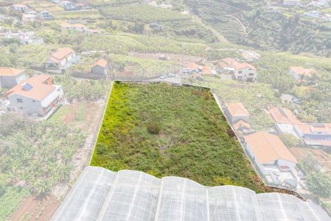 Helårsgrund i Calheta, Madeira, Calheta - € 449.000 | Ref: 123511098-130 - foto 11