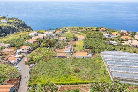 Helårsgrund i Calheta, Madeira, Calheta - € 449.000 | Ref: 123511098-130 - foto 12