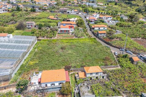 Helårsgrund i Calheta, Madeira, Calheta - € 449.000 | Ref: 123511098-130 - foto 16