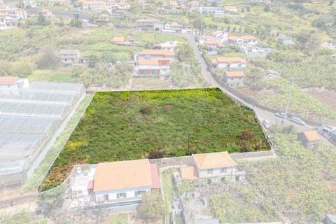 Helårsgrund i Calheta, Madeira, Calheta - € 449.000 | Ref: 123511098-130 - foto 17