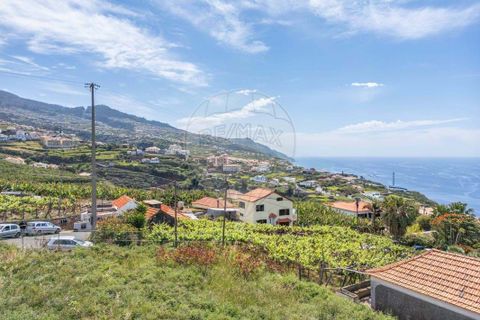 Helårsgrund i Calheta, Madeira, Calheta - € 449.000 | Ref: 123511098-130 - foto 18