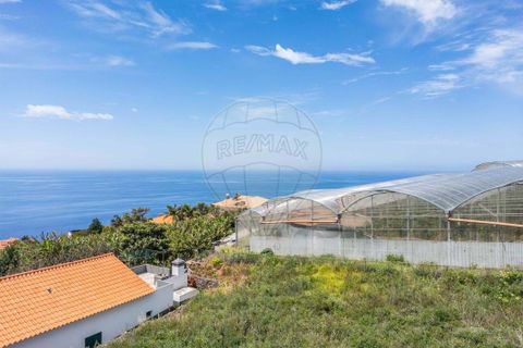 Helårsgrund i Calheta, Madeira, Calheta - € 449.000 | Ref: 123511098-130 - foto 19