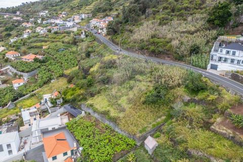 Helårsgrund i Calheta, Madeira, Calheta - € 195.000 | Ref: 123511106-45 - foto 16