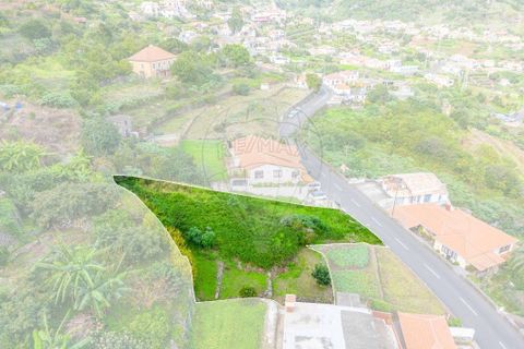 Helårsgrund i Machico, Madeira, Machico - € 85.000 | Ref: 123511097-67 - foto 9