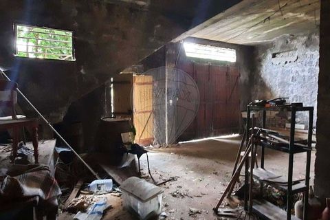 Villa a Santana, Madeira, Santana - € 280.000 | Ref: 123511178-6 - foto 34