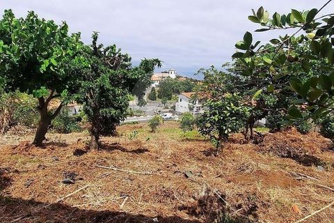 Villa a Santana, Madeira, Santana - € 280.000 | Ref: 123511178-6 - foto 37