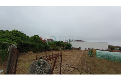 Helårsgrund i Oia, Aveiro, Oia - € 32.000 | Ref: TER_163 - foto 2