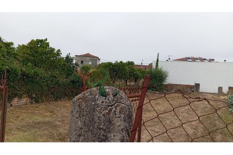 Helårsgrund i Oia, Aveiro, Oia - € 32.000 | Ref: TER_163 - foto 3
