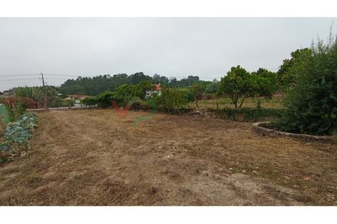 Helårsgrund i Oia, Aveiro, Oia - € 32.000 | Ref: TER_163 - foto 4