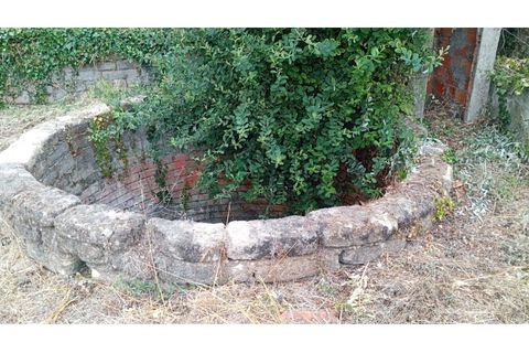 Helårsgrund i Oia, Aveiro, Oia - € 32.000 | Ref: TER_163 - foto 5