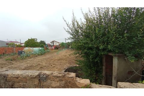 Helårsgrund i Oia, Aveiro, Oia - € 32.000 | Ref: TER_163 - foto 6