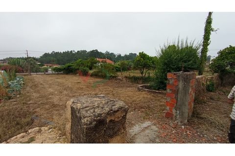Helårsgrund i Oia, Aveiro, Oia - € 32.000 | Ref: TER_163 - foto 7