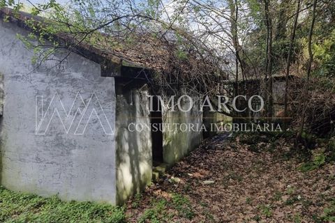 Villa i Parada do Bouro, Braga, Parada do Bouro - € 84.000 | Ref: ARCO(230) - foto 10