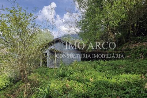 Villa i Parada do Bouro, Braga, Parada do Bouro - € 84.000 | Ref: ARCO(230) - foto 11