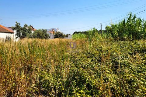 Helårsgrund i Azambuja, Lisbon, Azambuja - € 30.000 | Ref: ALVER-216667 - foto 3