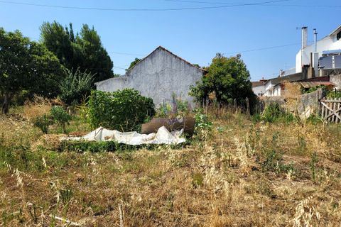 Helårsgrund i Azambuja, Lisbon, Azambuja - € 30.000 | Ref: ALVER-216667 - foto 5