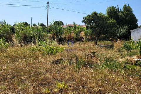Helårsgrund i Azambuja, Lisbon, Azambuja - € 30.000 | Ref: ALVER-216667 - foto 7