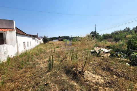 Helårsgrund i Azambuja, Lisbon, Azambuja - € 30.000 | Ref: ALVER-216667 - foto 8