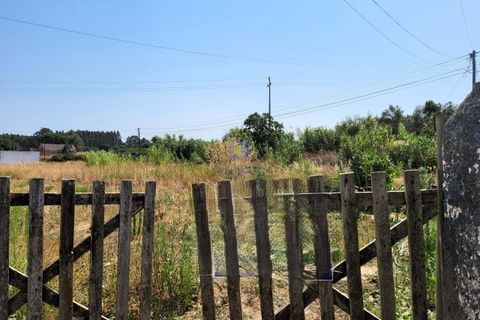 Helårsgrund i Azambuja, Lisbon, Azambuja - € 30.000 | Ref: ALVER-216667 - foto 12