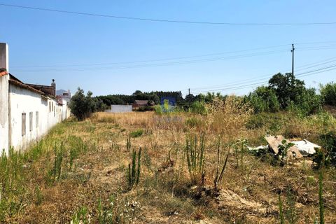 Helårsgrund i Azambuja, Lisbon, Azambuja - € 30.000 | Ref: ALVER-216667 - foto 13
