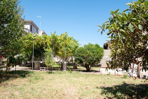 Terra a Sorso, Sassari, Sorso - € 75.000 | Ref: 13784 - foto 6