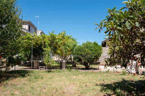 Terra a Sorso, Sassari, Sorso - € 75.000 | Ref: 13784 - foto 7