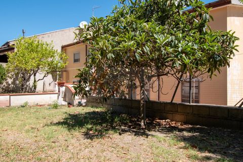 Terra a Sorso, Sassari, Sorso - € 75.000 | Ref: 13784 - foto 8