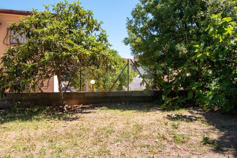 Terra a Sorso, Sassari, Sorso - € 75.000 | Ref: 13784 - foto 9